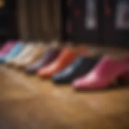 A vibrant display of different ballroom dance shoe styles